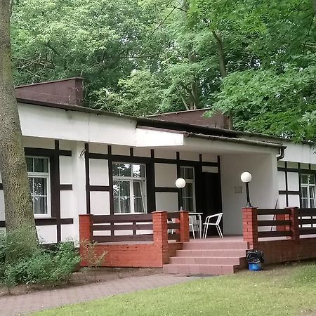 Hostel Dworek Osiecki Koral Osieki  Exterior photo